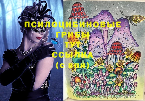 мяу мяу кристалл Магас