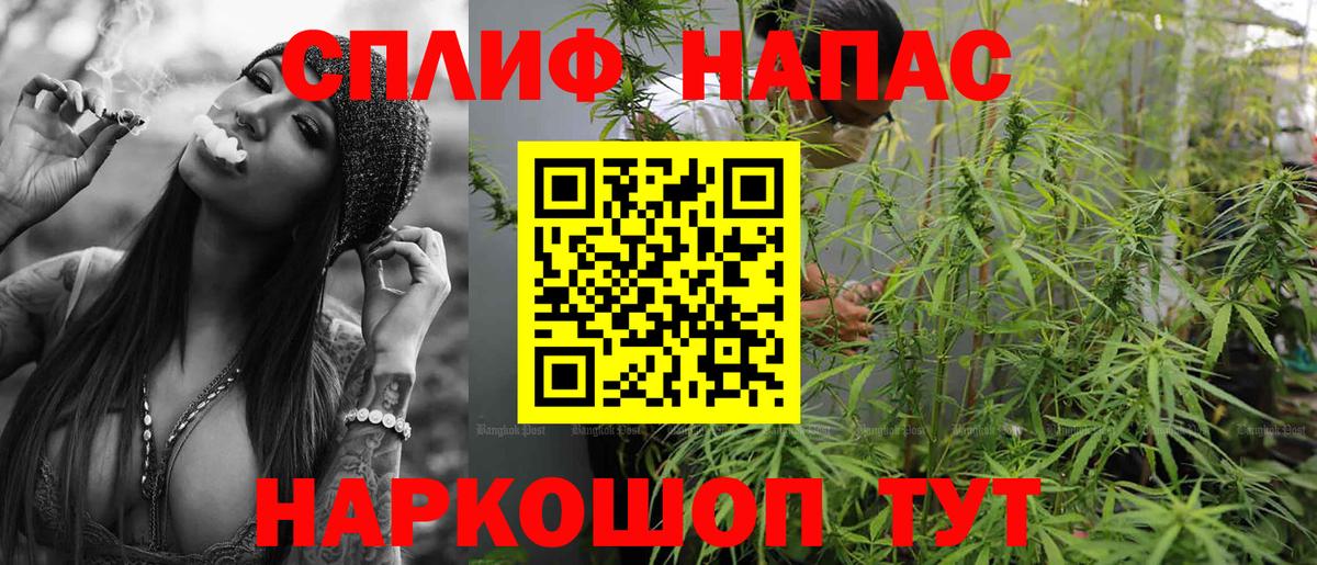Марихуана конопля Ульяновск